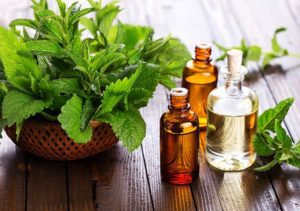دانستني هايي درباره عطر و ادكلن