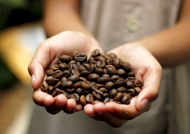 آیا بوی قهوه به پاکسازی گیرنده های بویایی کمک می کند؟