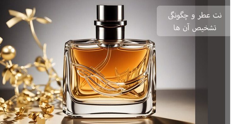 نت های عطر و چگونگی تشخیص آن ها