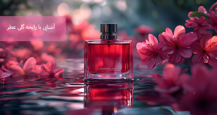 آشنایی با رایحه گلی عطر