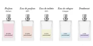تفاوت عطرها از نظر غلظت و ماندگاری