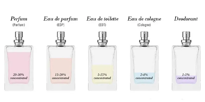 تفاوت عطرها از نظر غلظت و ماندگاری